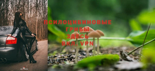 молекула духа Магас
