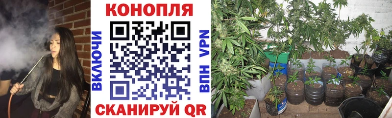 Канабис индика  Торопец 